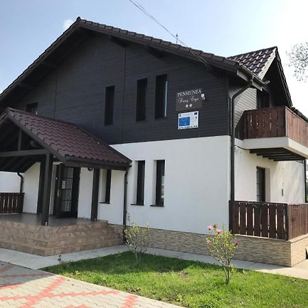 Pensiunea Dany - Crys Zvoristea Kültér fotó
