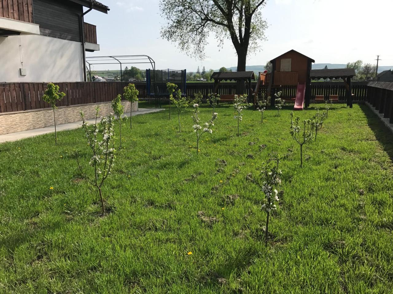 Pensiunea Dany - Crys Zvoristea Kültér fotó